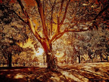 Kemasik 6 - Kostenloses image #276975